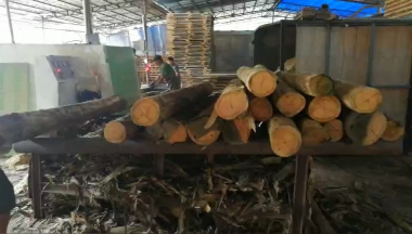圓木多片鋸加工效率下降？多片鋸開機檢查3個地方